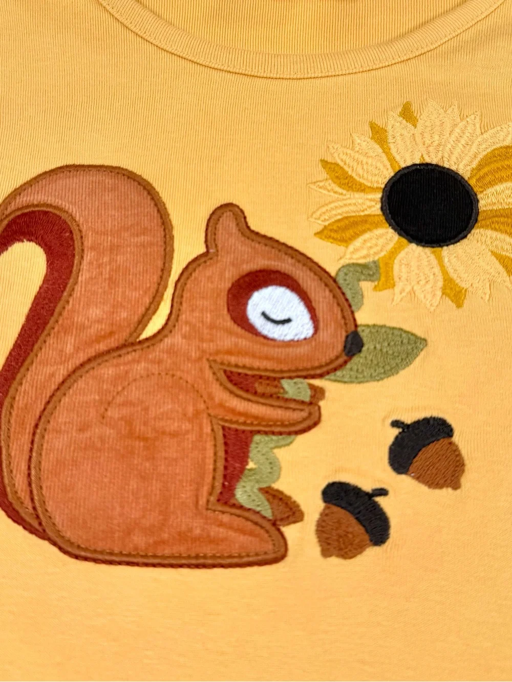 GYMBOREE Girl Squirrel Sunflower Applique Top 8 Woodland Cottagecore Forestcore